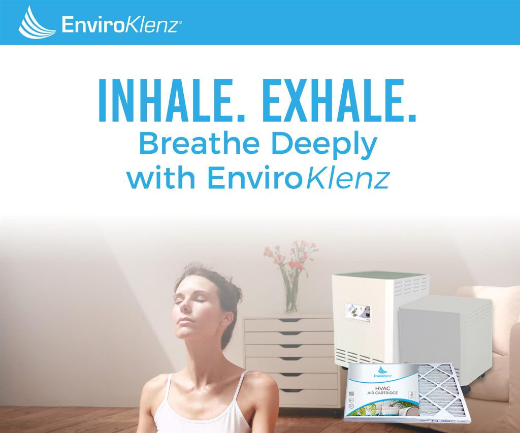 image of enviroklenz mobile air unit purifier