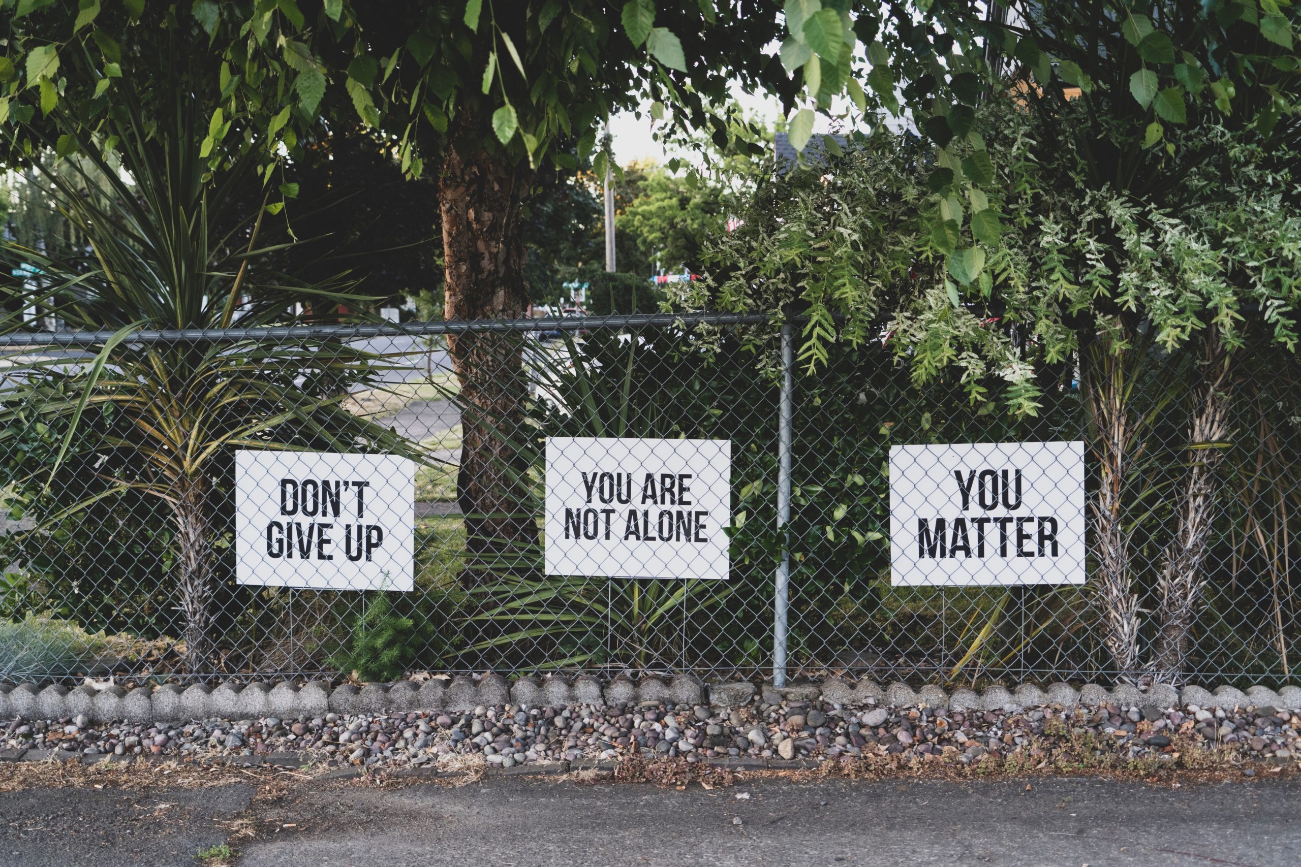 There are three inspirational mental health signs attached to a fence. They read: "Don't give up," "You are not alone," and "You matter."